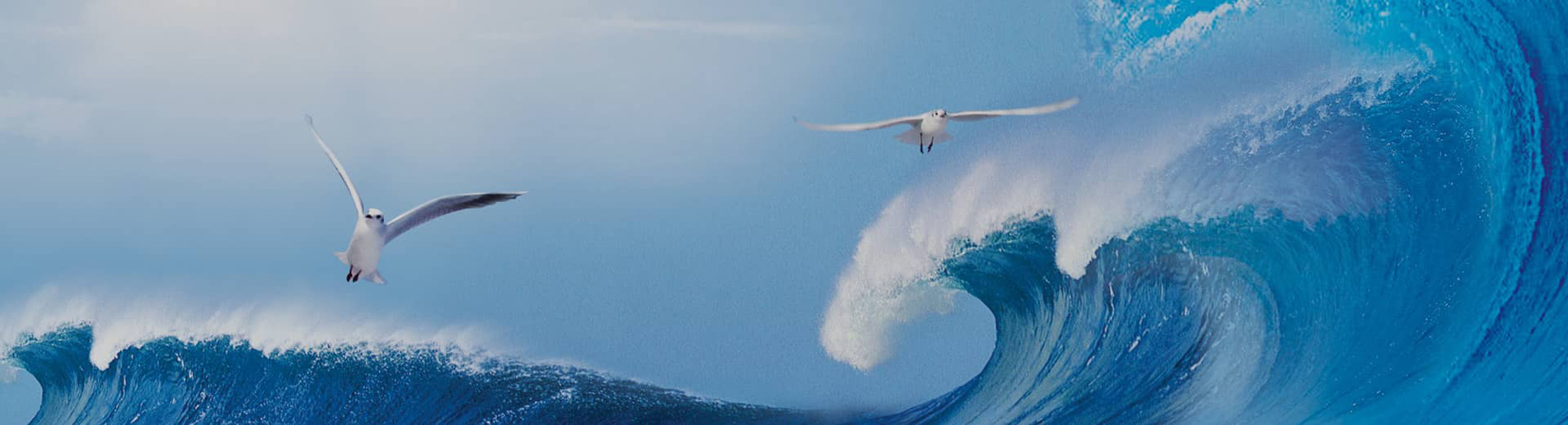 关于我们banner1