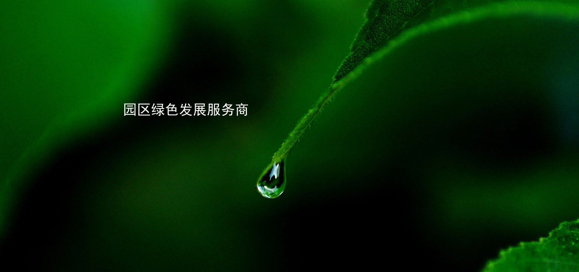 首页banner2