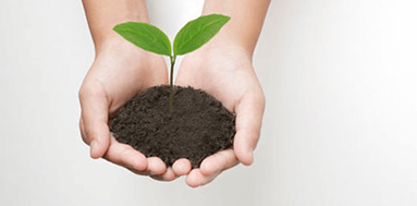 Integrated Environmental Services
